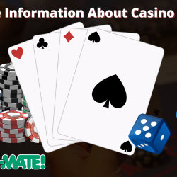 casino mate review